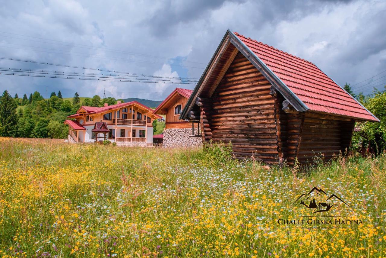 Apartments Chalet Girska Hatyna Vorokhta Exterior photo